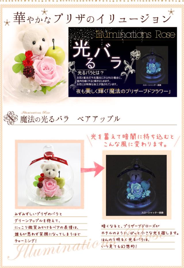 ピンク光るバラ