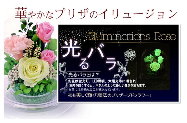 ピンクグリーン発光