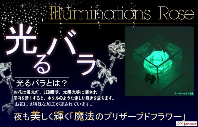 光るバラ　グリーン発光 