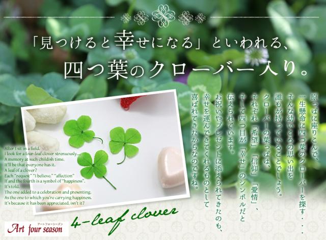 四つ葉 