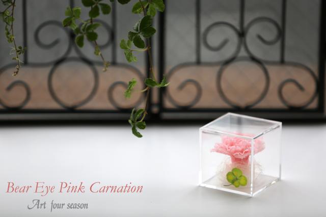 ピンクカーネーション