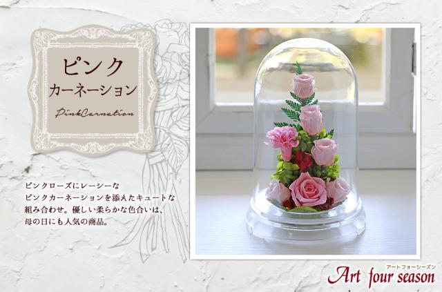 ピンクカーネーション