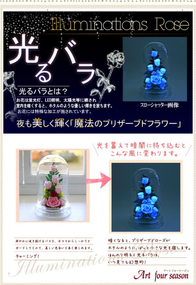 光るバラ　ブルー 