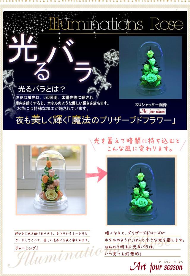 光るバライエロー 