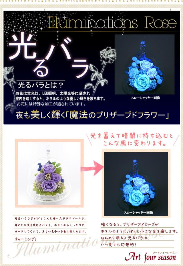 ブルー発光に光るバラ