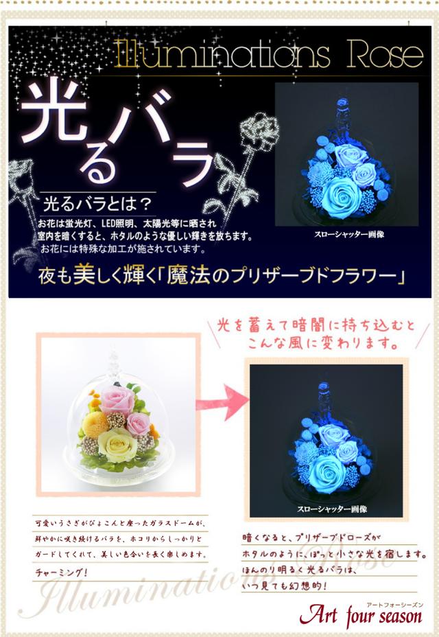 ブルー発光に光るバラ