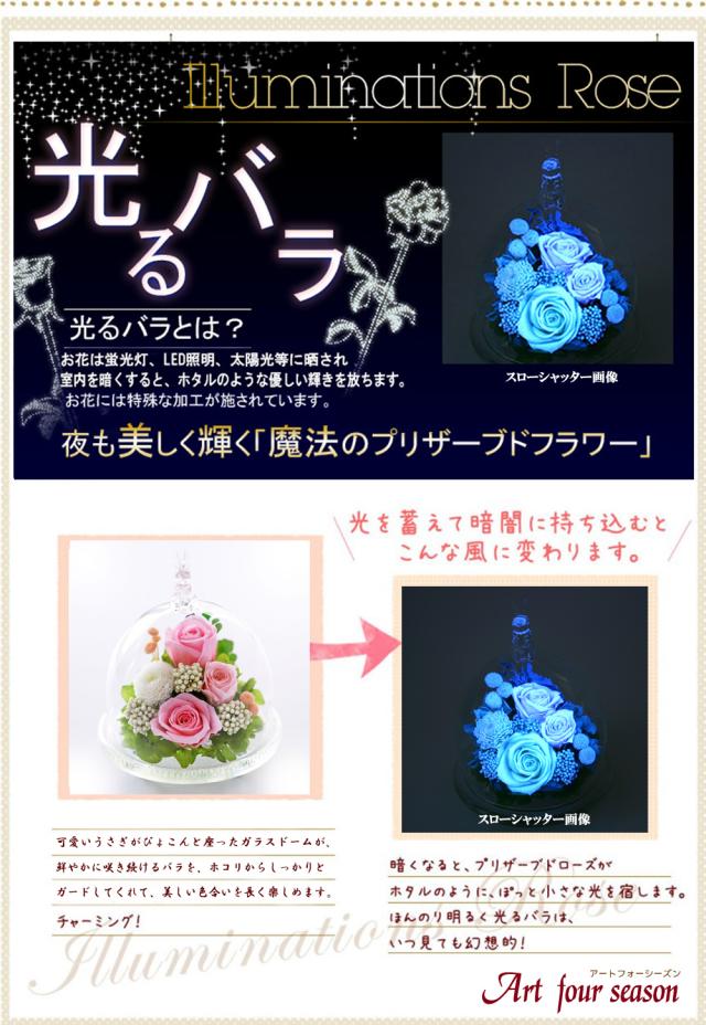 ブルー発光に光るバラ