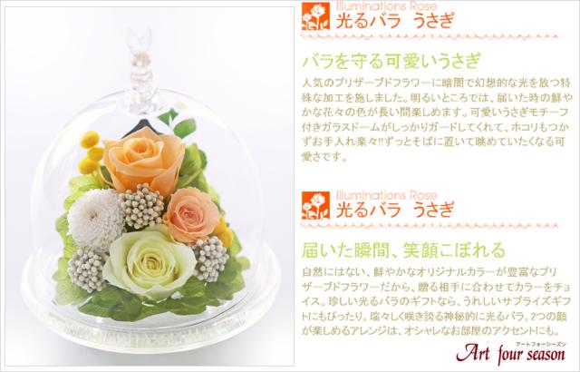 オレンジイエロー