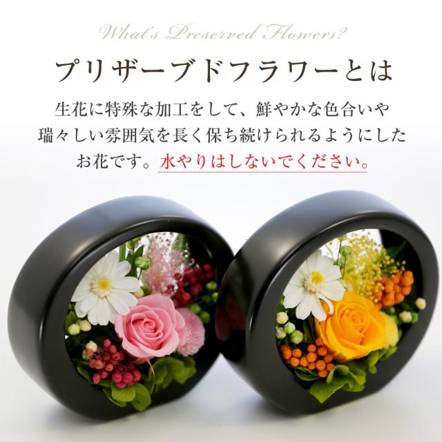 オレンジ・ピンク