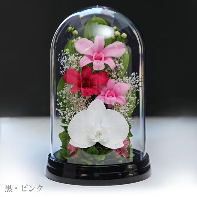 黒・ピンク