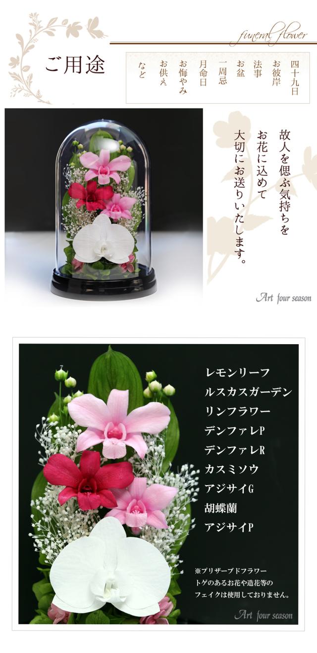 黒・ピンク