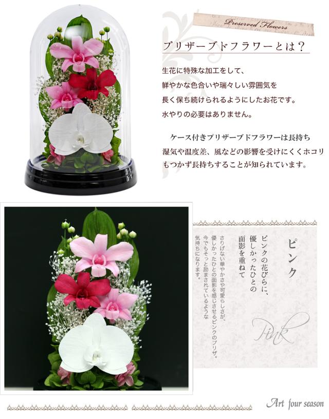 黒・ピンク