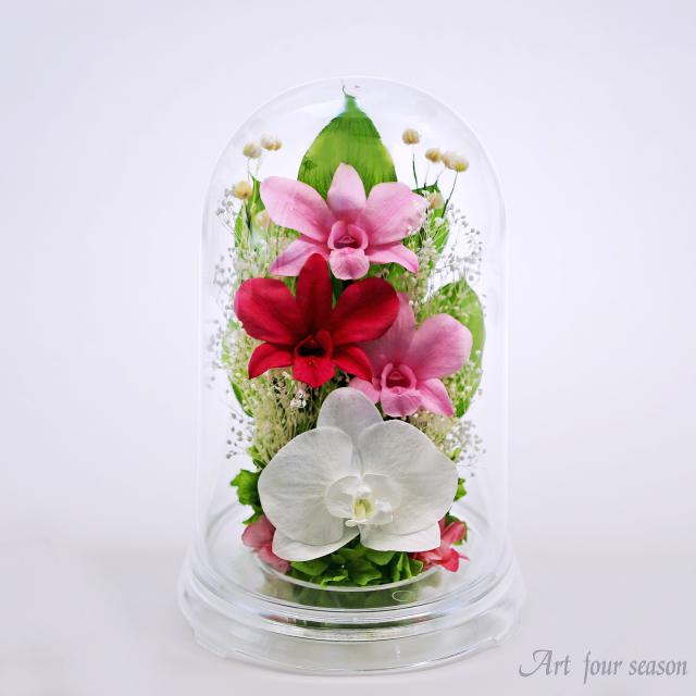 クリア・ピンク