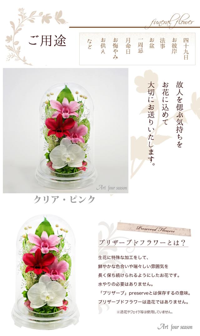 クリア・ピンク