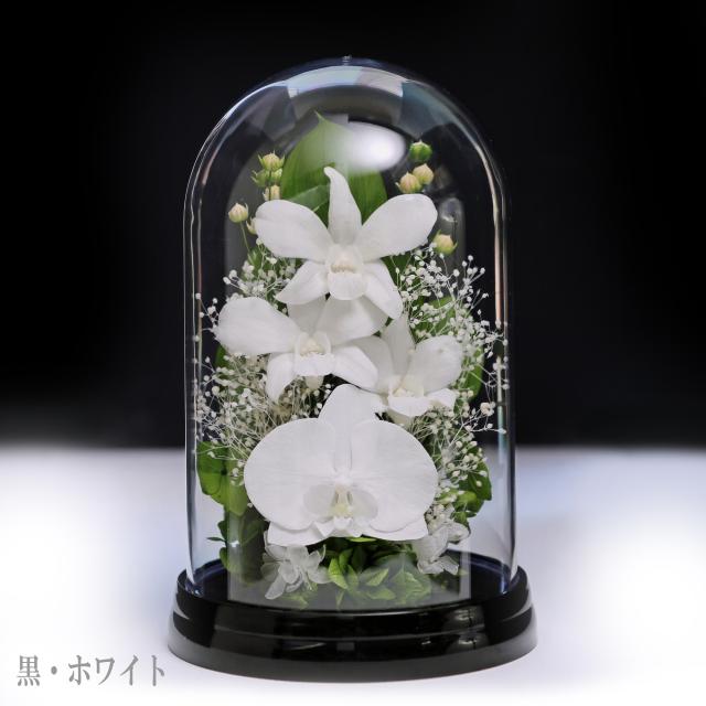 黒・ホワイト