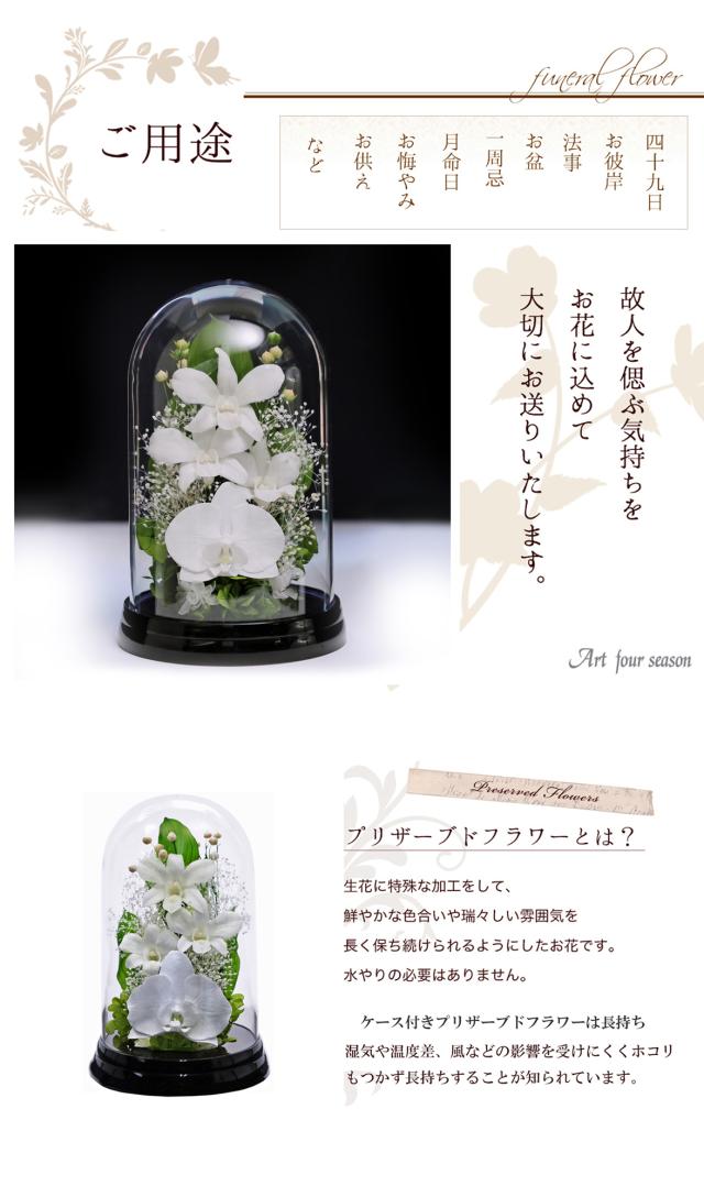 黒・ホワイト