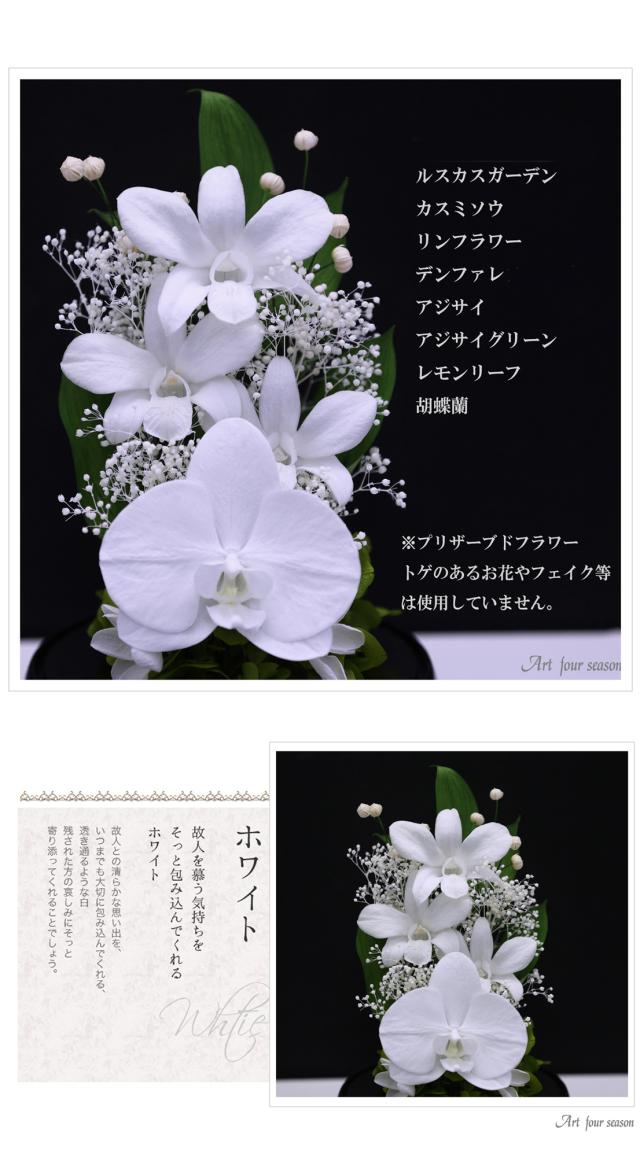 黒・ホワイト