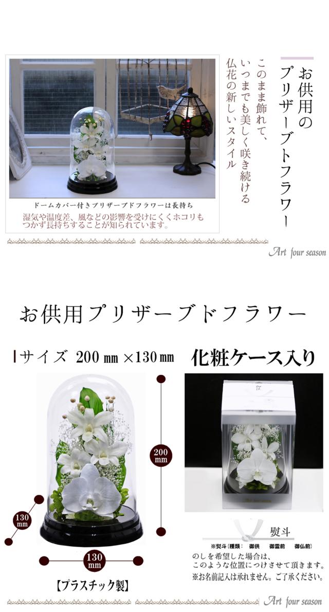黒・ホワイト