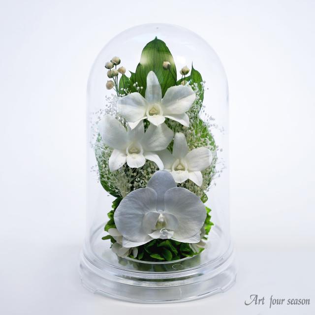 クリア・ホワイト