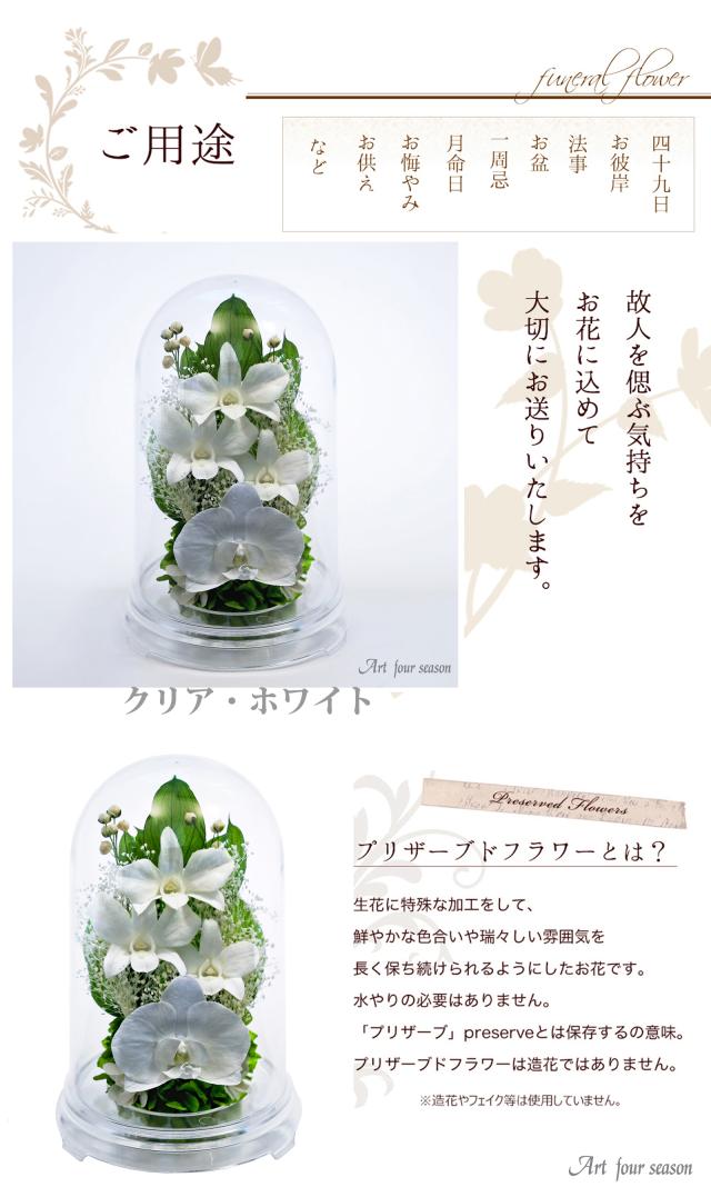 クリア・ホワイト