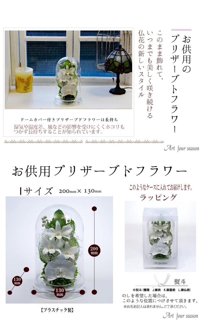 クリア・ホワイト