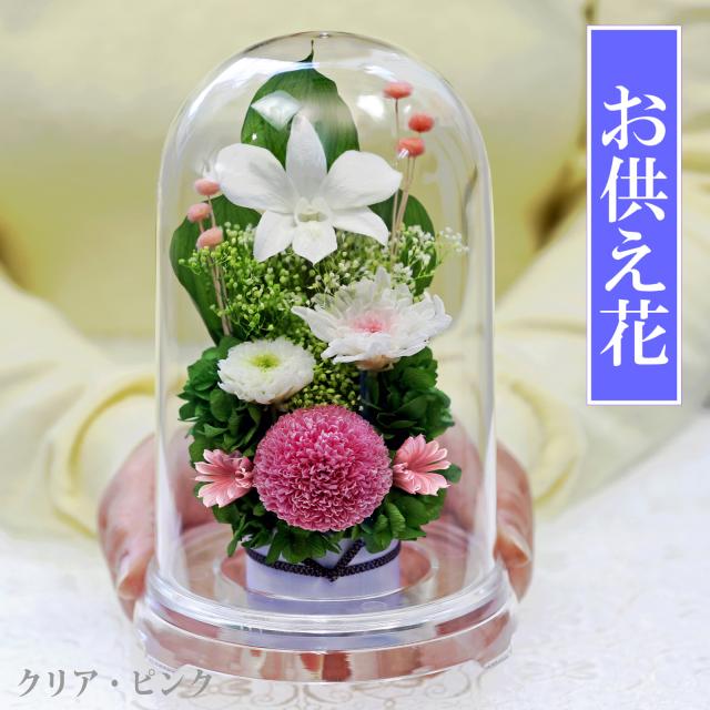 クリア・ピンク