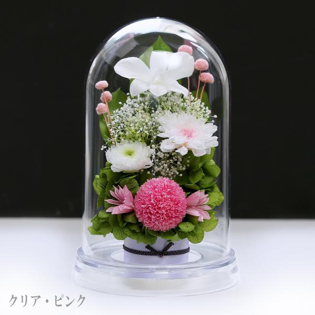 クリア・ピンク