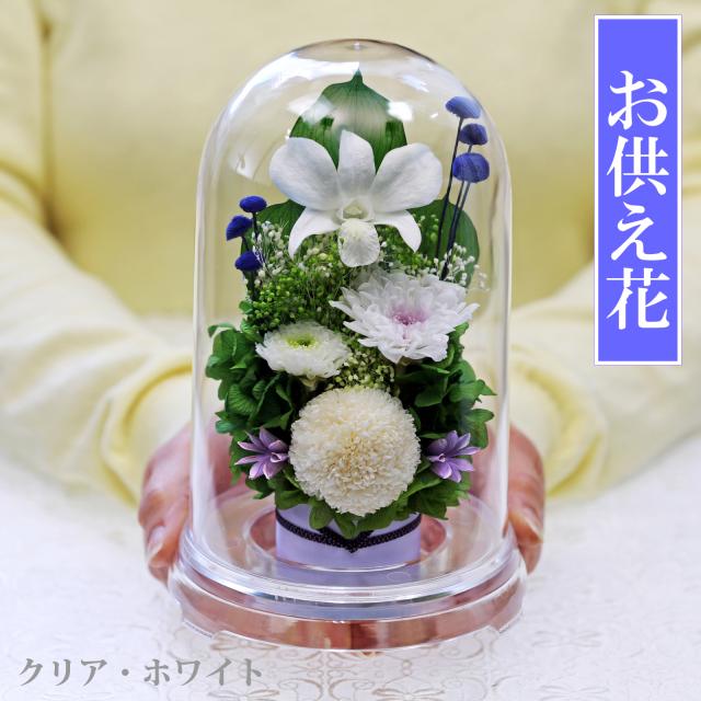 クリア・ホワイト