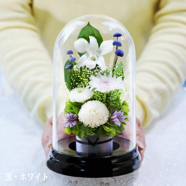 黒・ホワイト