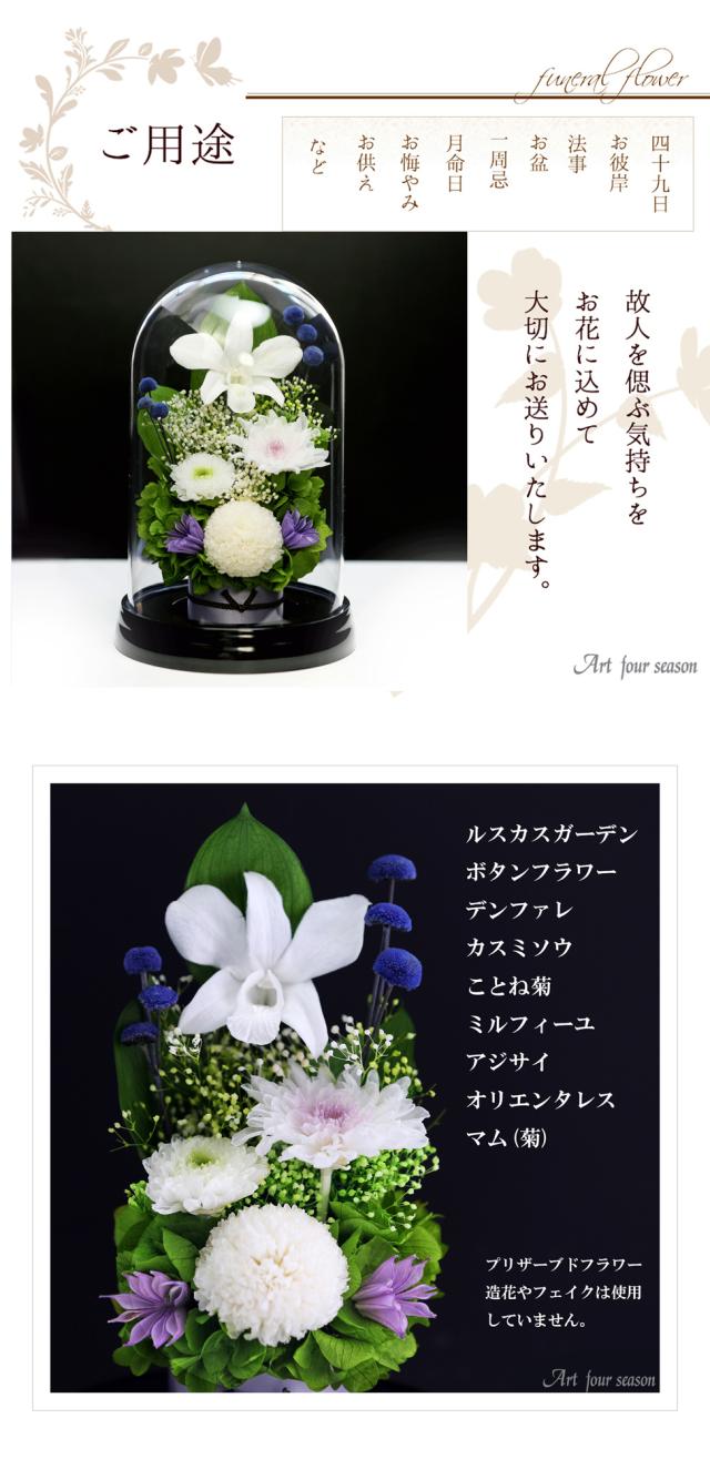 黒・ホワイト