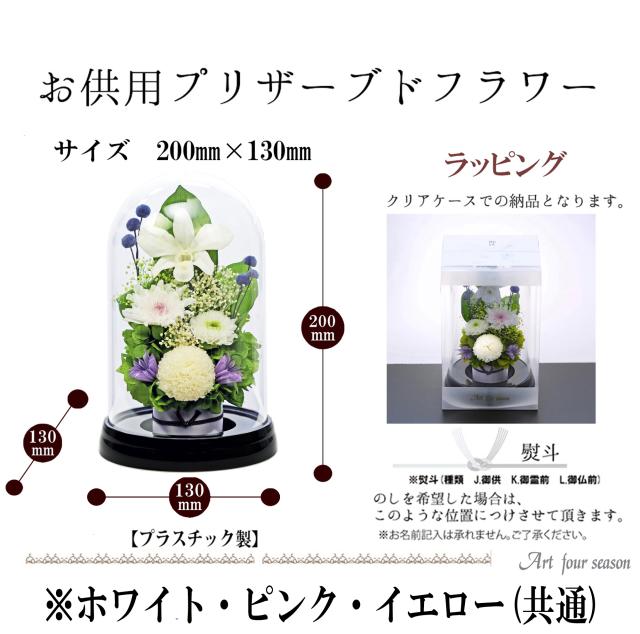 黒・ホワイト