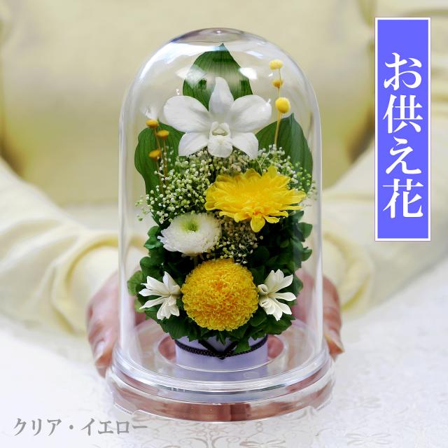 クリア・イエロー