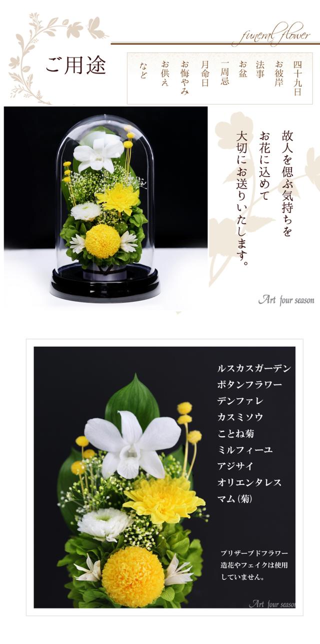 黒・イエロー