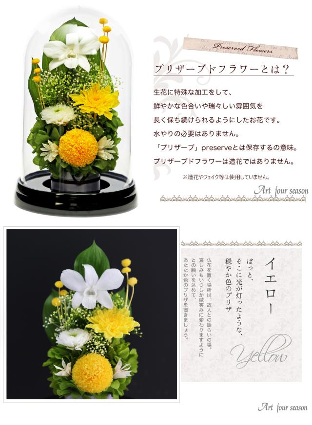 黒・イエロー