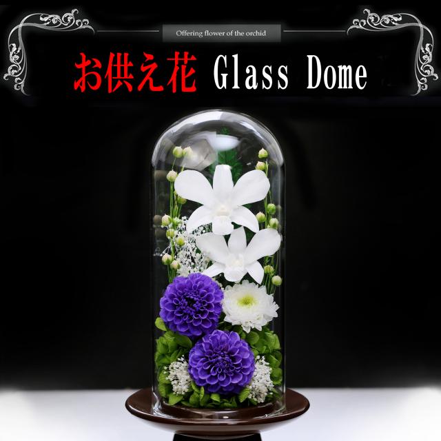 茶・白系