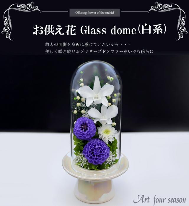ホワイト