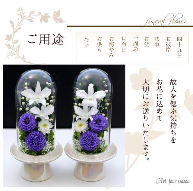 白系