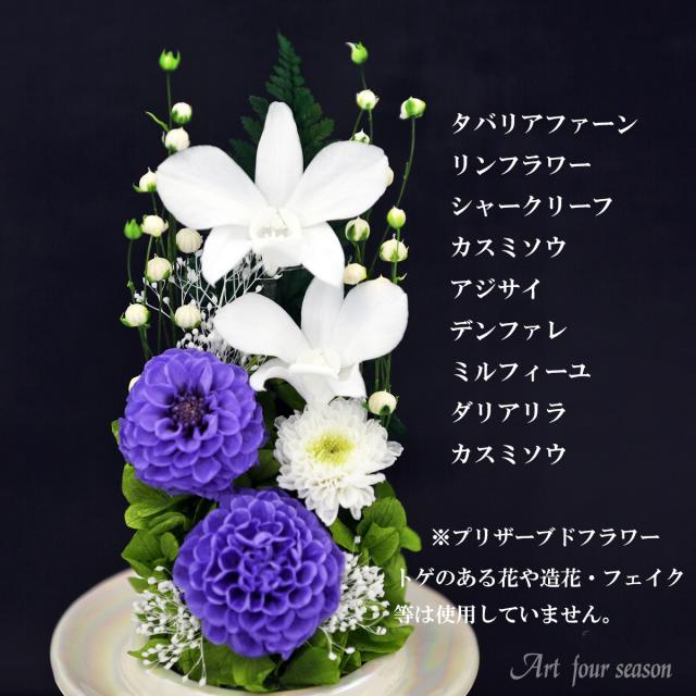白系