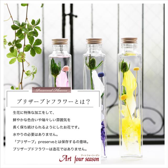 プリザとは
