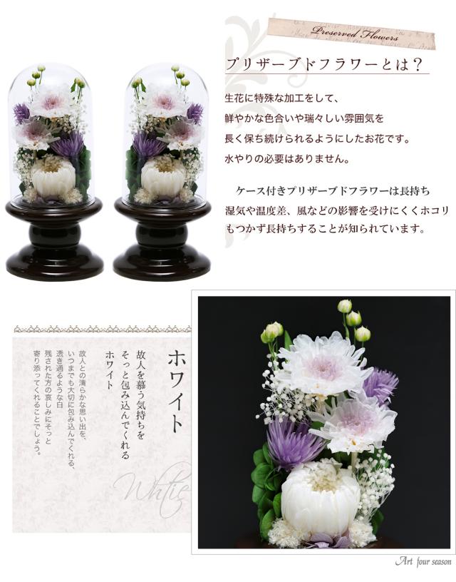 ホワイト