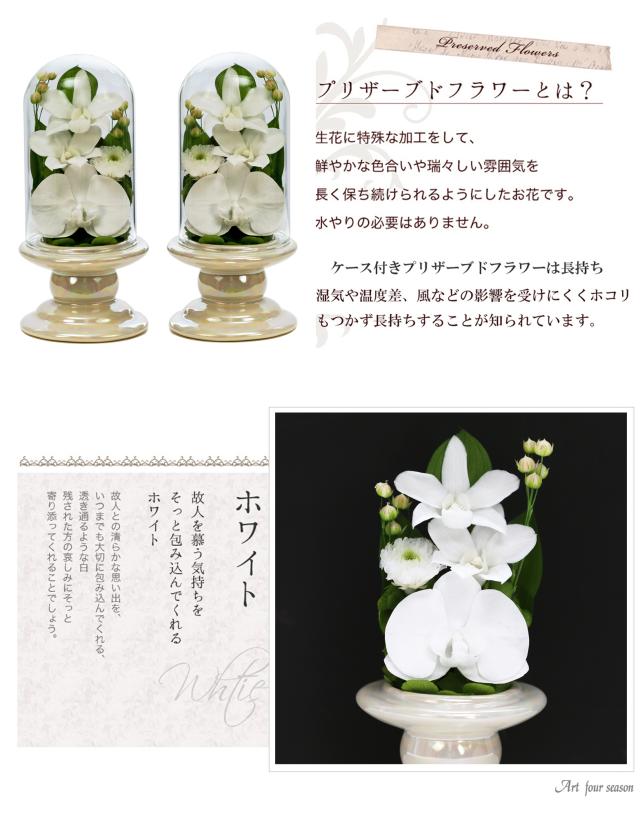 茶系