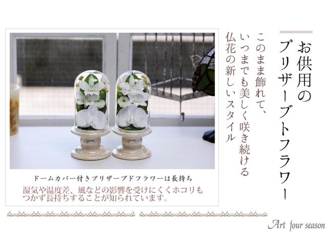茶系