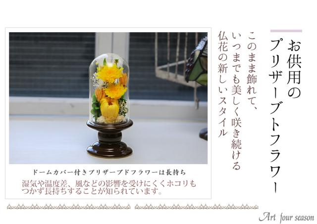 茶・イエロー