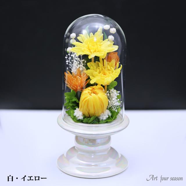 白・イエロー