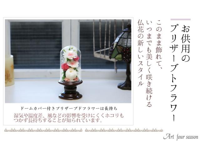 茶・ホワイト