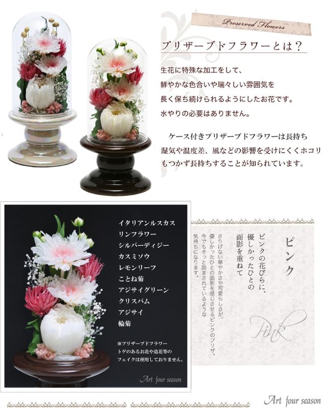 茶・ホワイト