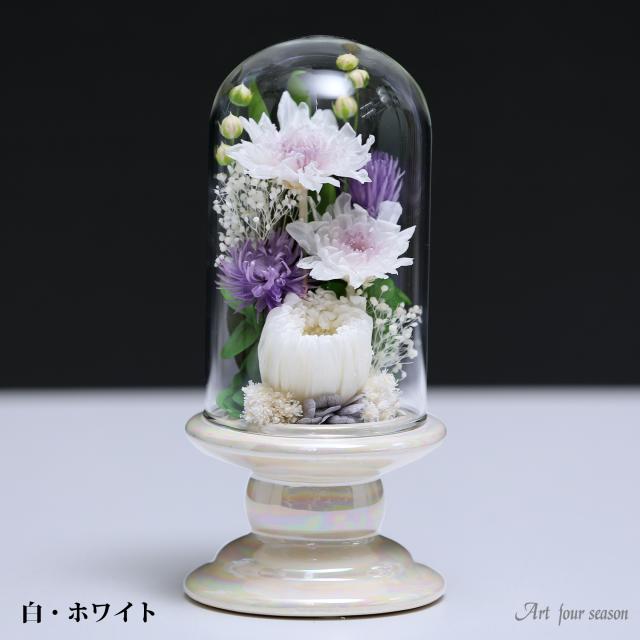 白・ホワイト