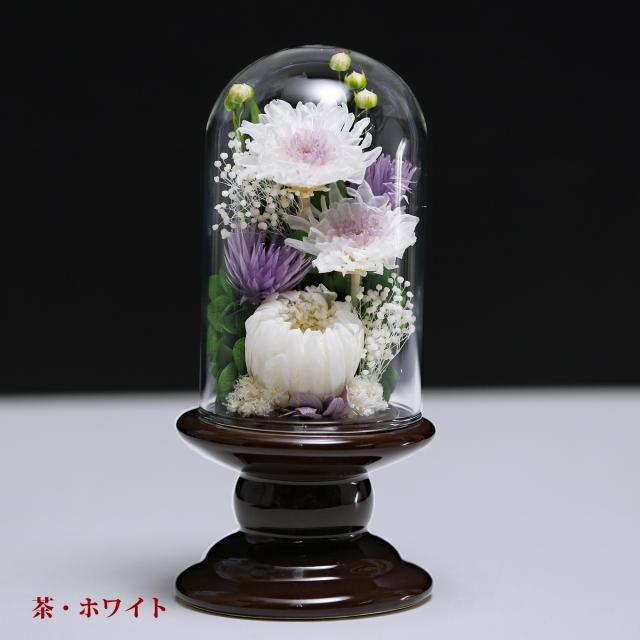 白・ホワイト