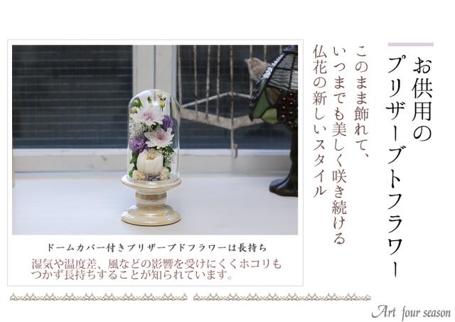 白・ホワイト