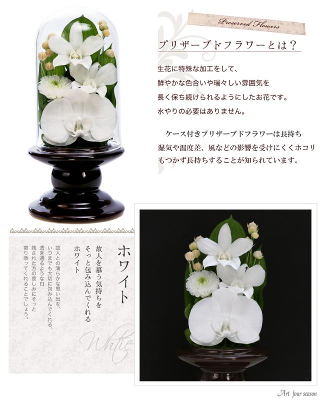 茶色